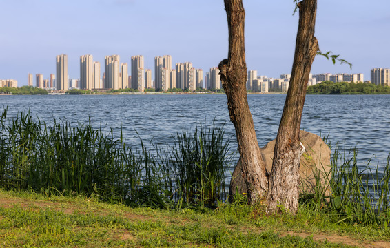 苏州尹山湖