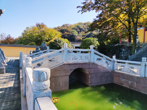 放生池风景