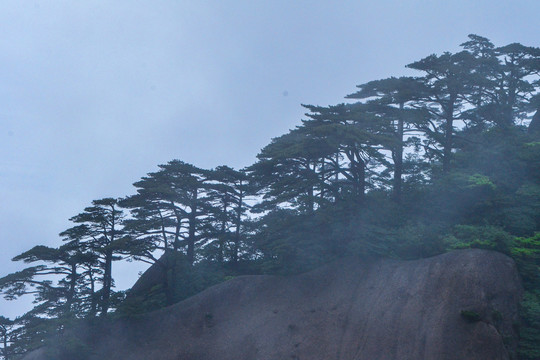 黄山云海风光