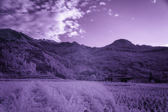 山村特写