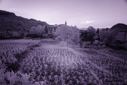 山村光影