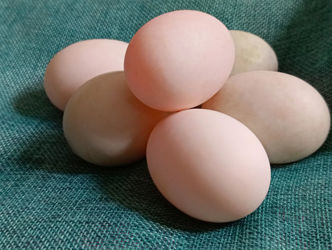 静物素材鸡蛋