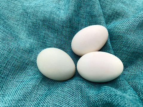 三青皮鸭蛋
