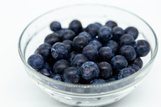 白色背景上的蓝莓