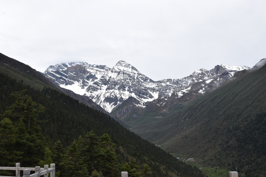 四川黄龙景区岷山主峰雪宝顶