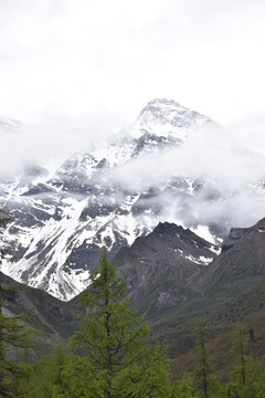 黄龙景区岷山主峰雪宝顶