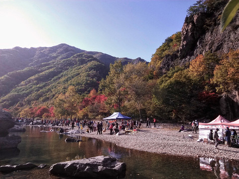 秋景秋意洋湖沟