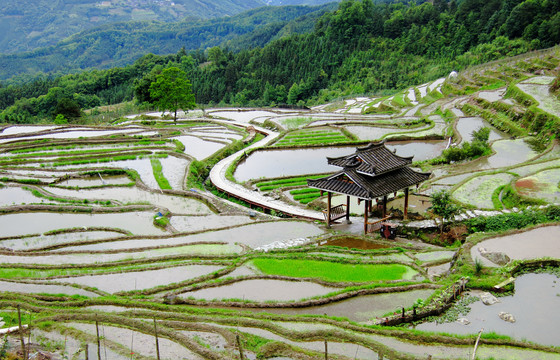 龙胜风光