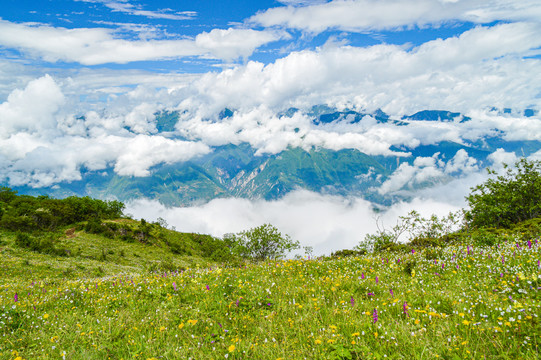 四川九顶山风光