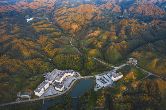 大北山森林公园