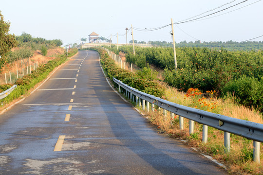 乡间公路