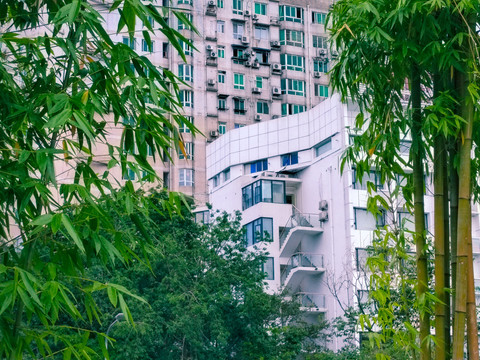 城市建筑和竹子