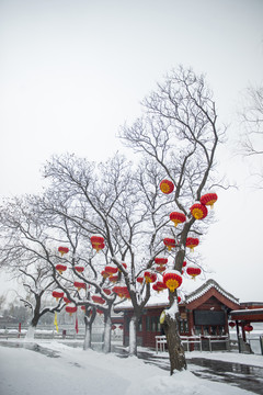 北海雪景