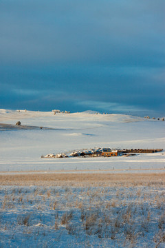 草原冬季雪原牧场