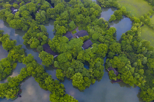 杭州西溪湿地国家公园初夏航拍