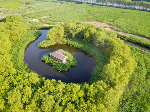 汉石桥湿地公园