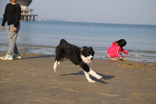 海边随拍