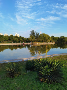公园湖景