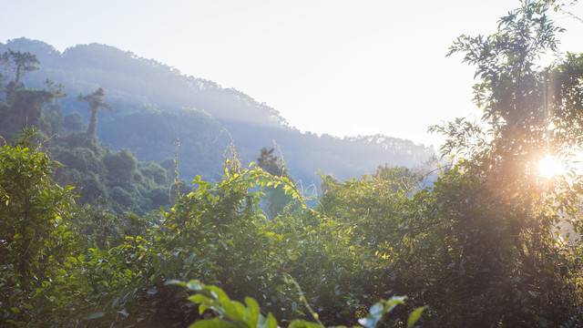 中山福获村五桂山风景