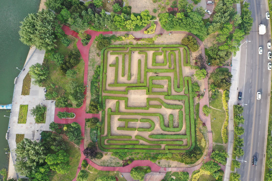 青岛城阳植物迷宫迷宫花园