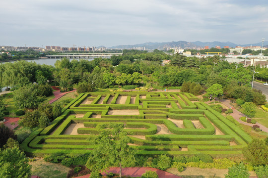 青岛城阳植物迷宫迷宫花园