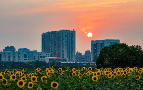 深圳光明小镇欢乐田园