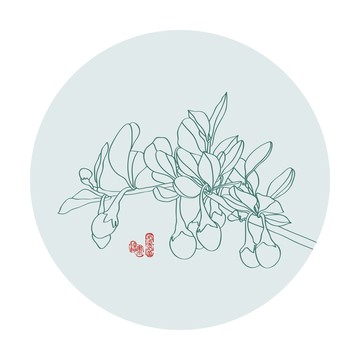 枸杞