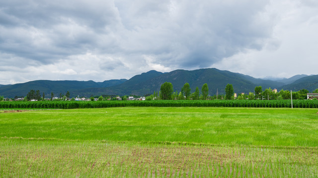 剑湖国家湿地公园