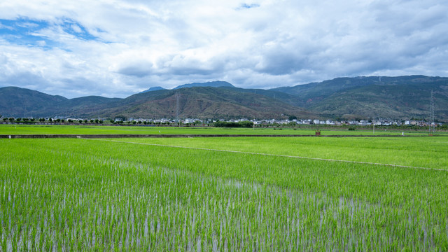 剑川县