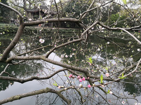 杭州西湖
