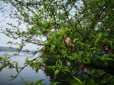 杭州西湖