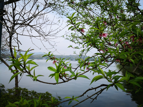 杭州西湖
