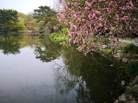 杭州西湖