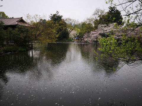 杭州西湖