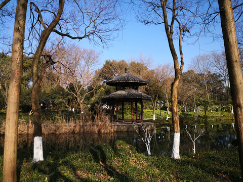西湖茅家埠