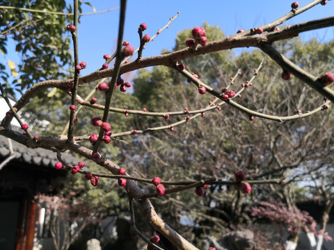 西湖郭庄