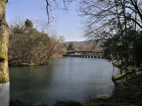 西湖浴鹄湾