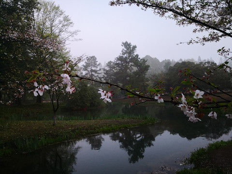 西湖太子湾