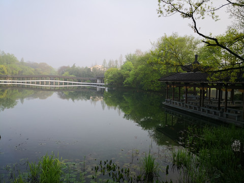 西湖浴鹄湾