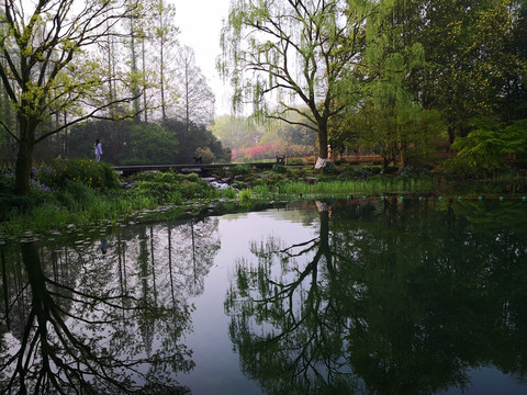 西湖浴鹄湾