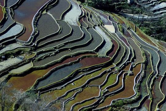 元阳梯田