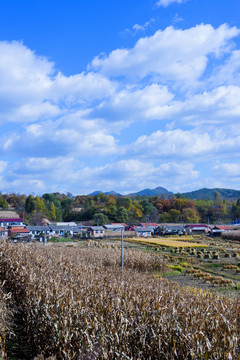 东北田园