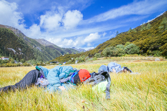 稻城亚丁的雪山和高原草甸