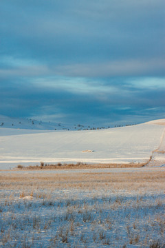 冬季草原雪原