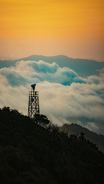 海南尖峰岭