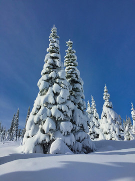 雪后山景