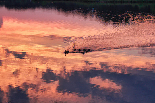 晚霞与夕阳