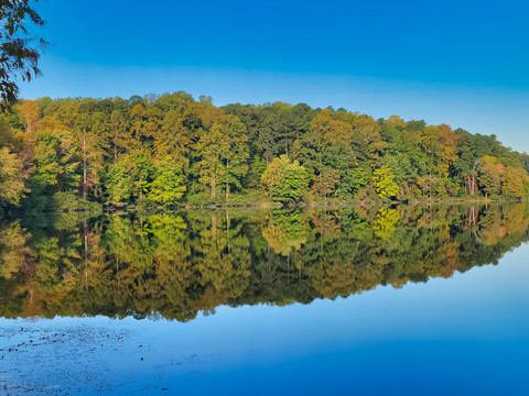 湖畔美景