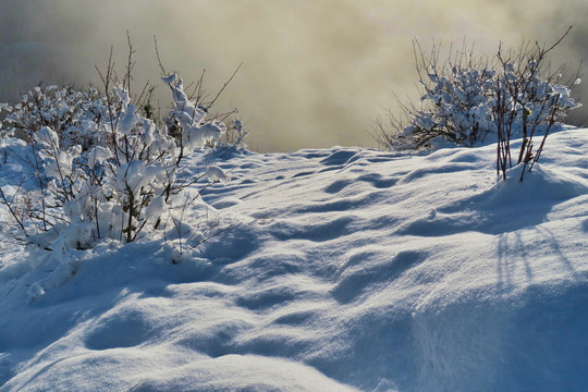 雪后山景