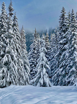雪后山景